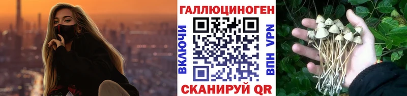 Псилоцибиновые грибы GOLDEN TEACHER  Олонец 